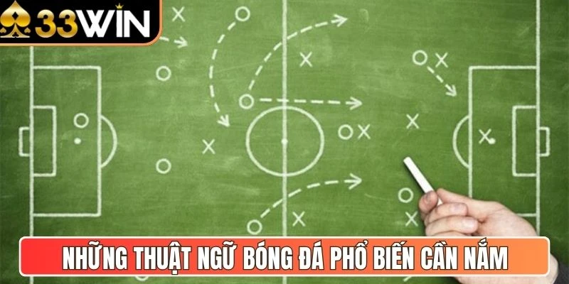 Những thuật ngữ bóng đá phổ biến cần nắm   