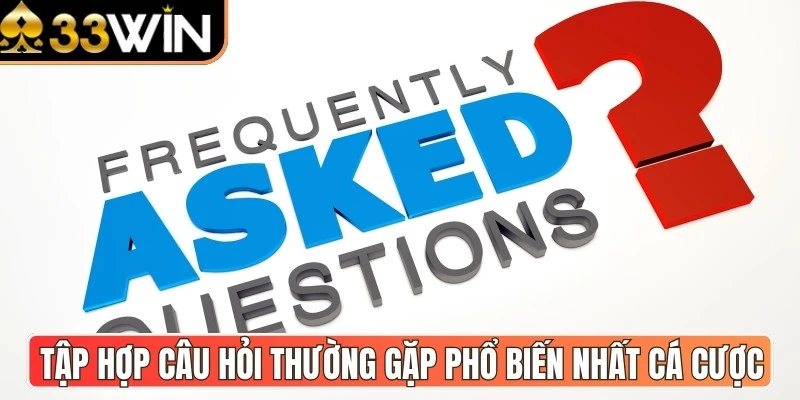 câu hỏi thường gặp