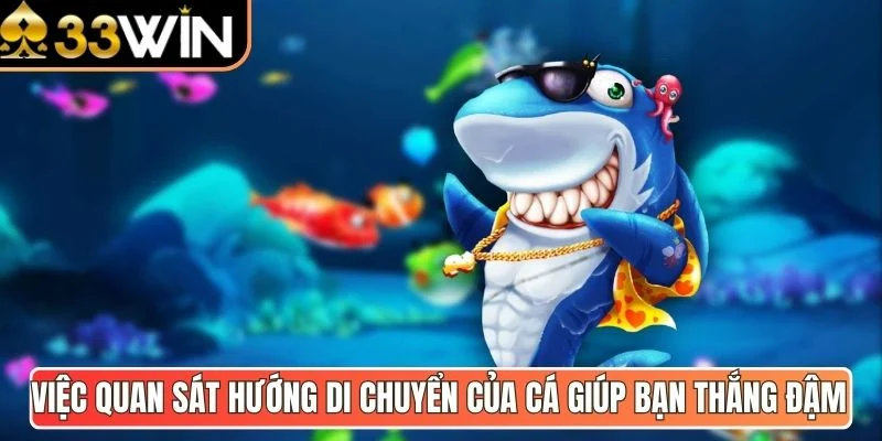 Việc quan sát hướng di chuyển của cá giúp bạn thắng đậm